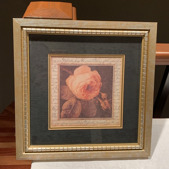 2 prints - Cheetah 🐆 print framed and double matted, old rose, Dbl matted - Picture 6 of 10